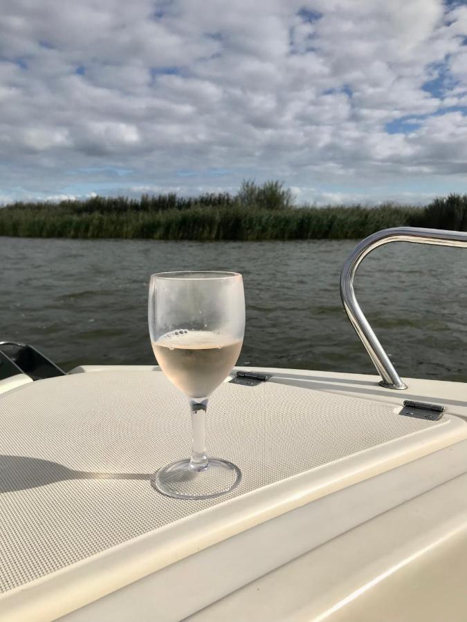 Bungalow Kleine Deichperle, Strand Und Deich In Unmittelbarer Naehe! Lemmer Bagian luar foto