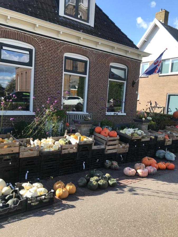 Bungalow Kleine Deichperle, Strand Und Deich In Unmittelbarer Naehe! Lemmer Bagian luar foto