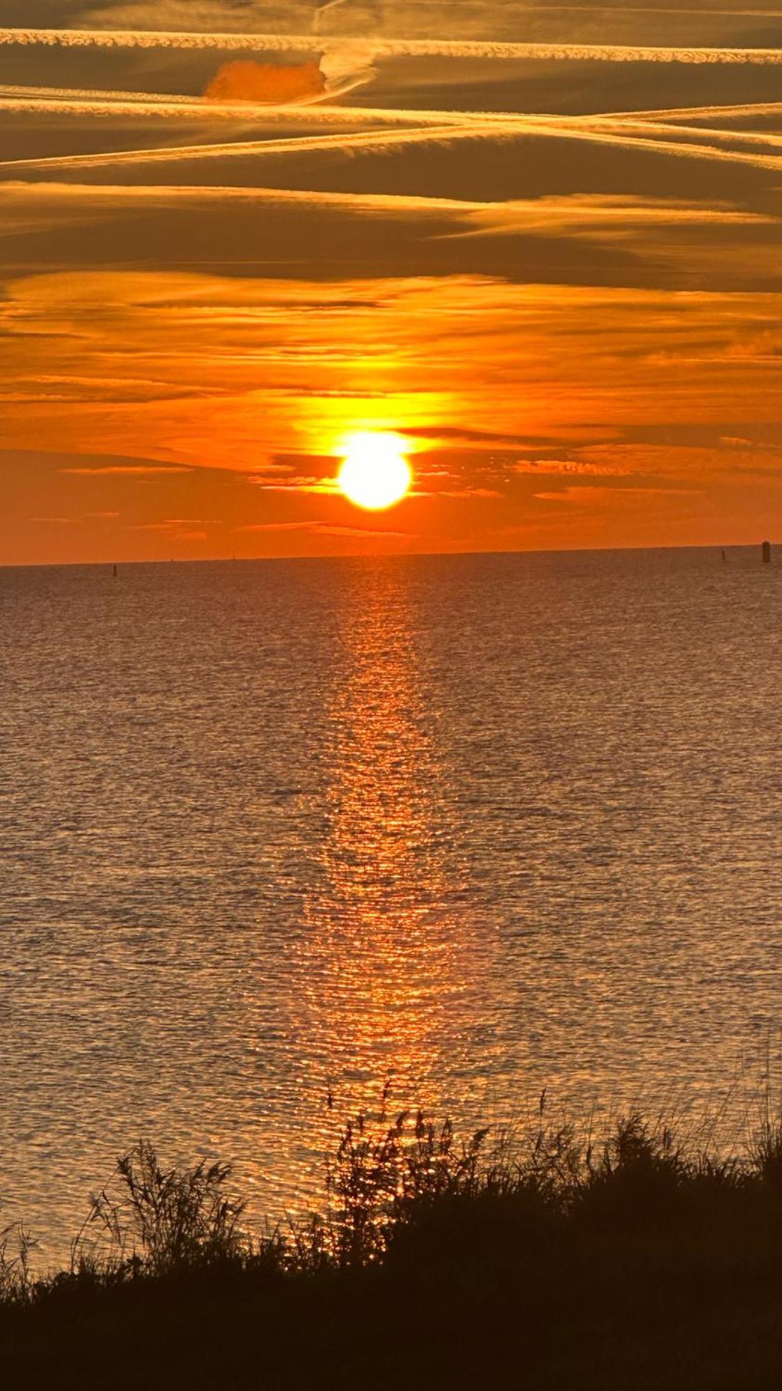 Bungalow Kleine Deichperle, Strand Und Deich In Unmittelbarer Naehe! Lemmer Bagian luar foto